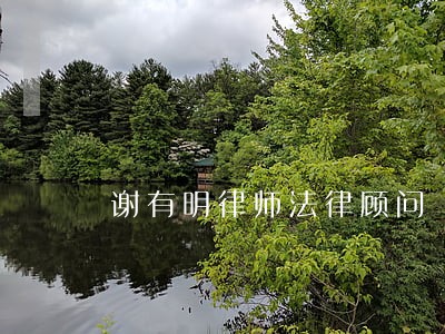 谢有明律师法律顾问 谢有明律师法律顾问