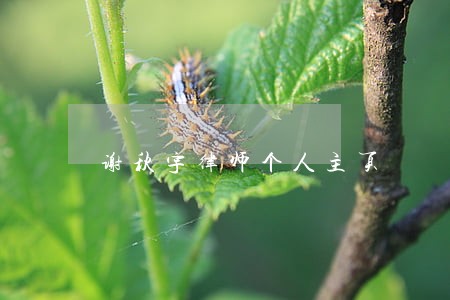 谢秋宇律师个人主页 谢秋宇律师个人主页