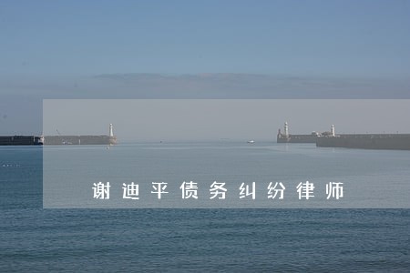 谢迪平债务纠纷律师