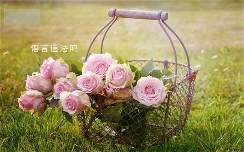 谣言违法吗 谣言违法吗
