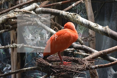 谦诉律师 谦诉律师