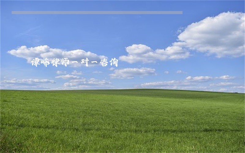 谭峰律师一对一咨询 谭峰律师一对一咨询