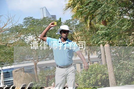 谭律师打官司 谭律师打官司