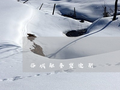 谷城融誉贷逾期 谷城融誉贷逾期