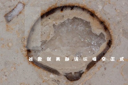谷歌就美部诉讼提交正式申辩 谷歌就美部诉讼提交正式申辩