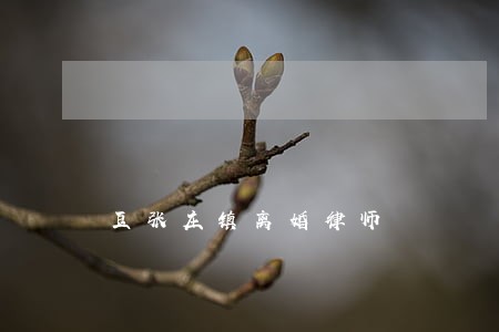 豆张庄镇离婚律师 豆张庄镇离婚律师