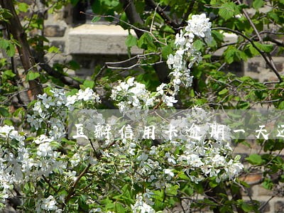 豆瓣信用卡逾期一天还本金 豆瓣信用卡逾期一天还本金