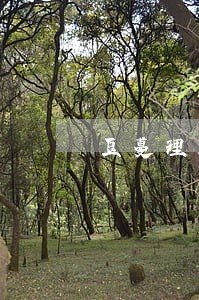 豆蔓理财逾期 豆蔓理财逾期