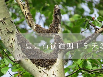 豆豆有钱逾期15天怎么样 豆豆有钱逾期15天怎么样