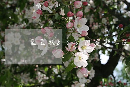 豆豆钱8000逾期不还款后果 豆豆钱8000逾期不还款后果