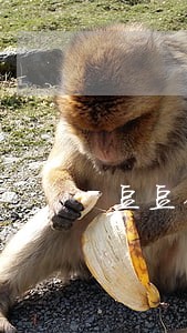 豆豆钱包逾期3天可以不 豆豆钱包逾期3天可以不