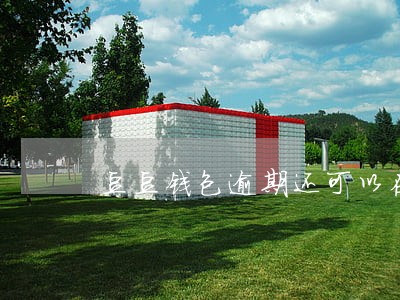 豆豆钱包逾期还可以在银行贷款吗 豆豆钱包逾期还可以在银行贷款吗