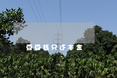 豆豆钱只还本金 豆豆钱只还本金