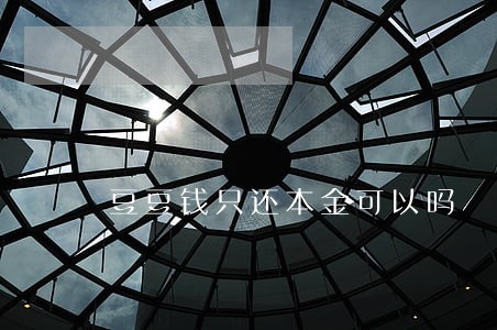 豆豆钱只还本金可以吗 豆豆钱只还本金可以吗