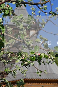 豆豆钱贷款逾期催收 豆豆钱贷款逾期催收