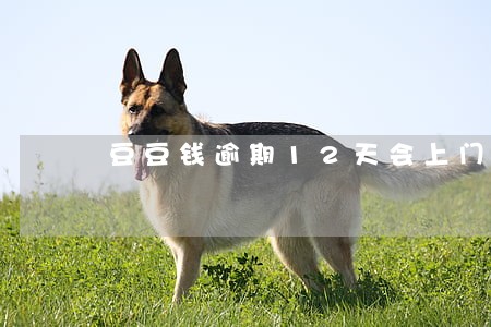 豆豆钱逾期12天会上门吗 豆豆钱逾期12天会上门吗