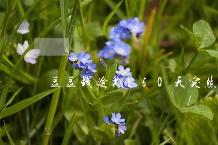 豆豆钱逾期150天突然发信息 豆豆钱逾期150天突然发信息