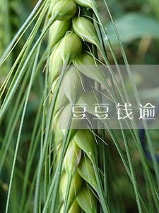 豆豆钱逾期20天会怎样 豆豆钱逾期20天会怎样