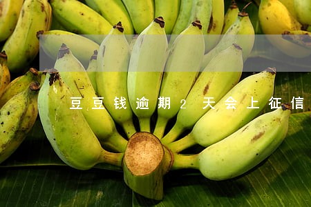 豆豆钱逾期2天会上征信吗 豆豆钱逾期2天会上征信吗