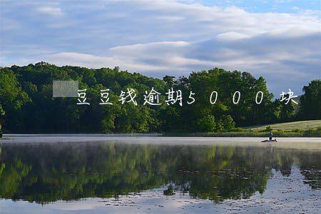 豆豆钱逾期5000块 豆豆钱逾期5000块