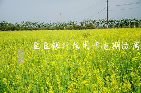 豆豆银行信用卡逾期协商还本金 豆豆银行信用卡逾期协商还本金