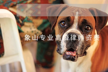 象山专业离婚律师资费