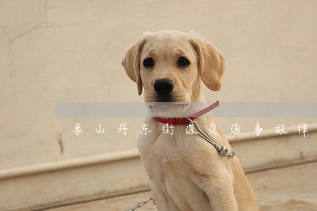 象山丹东街道交通事故律师