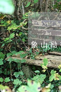 象山励律师 象山励律师