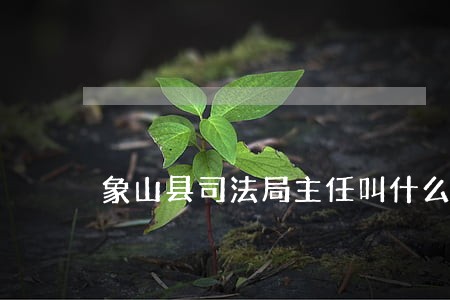 象山县司法局主任叫什么名字 象山县司法局主任叫什么名字