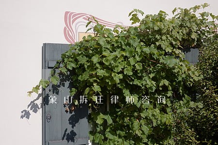 象山拆迁律师咨询