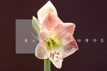 象山本地债务纠纷律师咨询热线 象山本地债务纠纷律师咨询热线