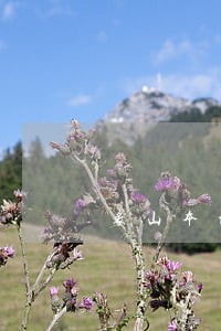 象山本地法律顾问介绍 象山本地法律顾问介绍