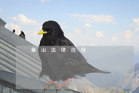 象山法律咨询 象山法律咨询