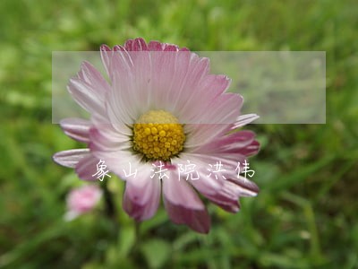 象山法院洪伟 象山法院洪伟
