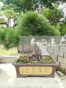象山遗产继承律师费用 象山遗产继承律师费用