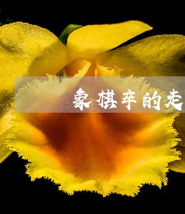 象棋卒的走法规则 象棋卒的走法规则