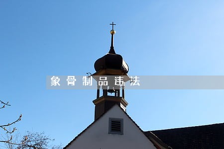 象骨制品违法 象骨制品违法