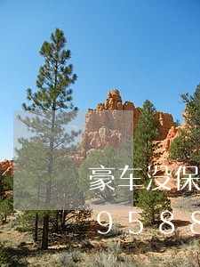 豪车没保险上路违法吗/2023020495885 豪车没保险上路违法吗/2023020495885