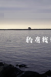 豹有钱逾期1天 豹有钱逾期1天