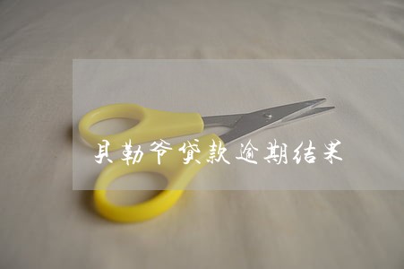 贝勒爷贷款逾期结果