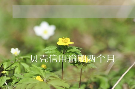 贝壳信用逾期两个月