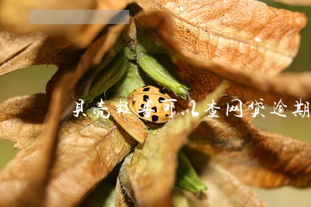 贝壳报告可以查网贷逾期吗 贝壳报告可以查网贷逾期吗