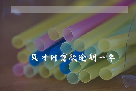 贝才网贷款逾期一年 贝才网贷款逾期一年