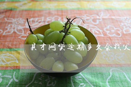 贝才网贷逾期多久会找父母 贝才网贷逾期多久会找父母