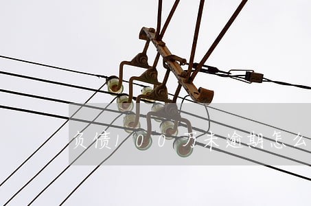 负债100万未逾期怎么处理 负债100万未逾期怎么处理