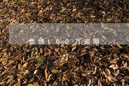 负债100万逾期 负债100万逾期
