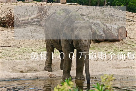 负债100万逾期全面爆发