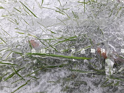 负债10万逾期快2年了 负债10万逾期快2年了