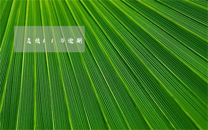 负债11万逾期 负债11万逾期