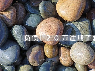 负债120万逾期了怎么办 负债120万逾期了怎么办